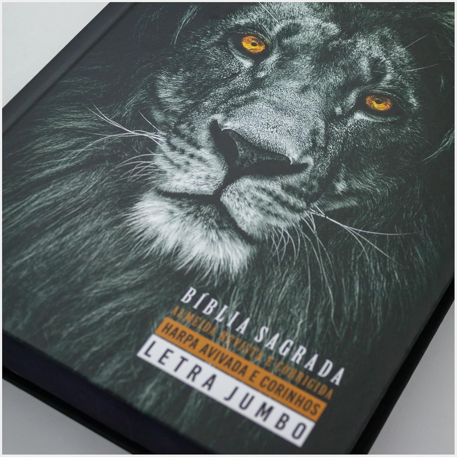 Bíblia ARC Letra Jumbo com Harpa Capa Dura Leão – PR Edifique - Imagem 4